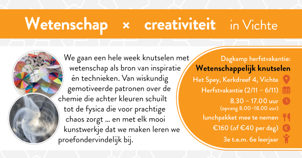 Flyer met beschrijving, info en foto's omtrent het wetenschappelijk knutselkamp in Vichte; zie bovenstaande link.