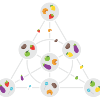 Weergave van het Fanovlak ingekleed als het kleinste niet-triviale Dobblespel.