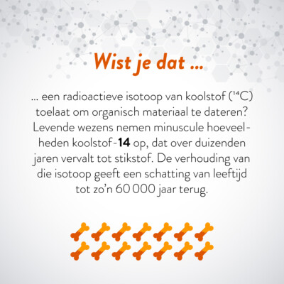 Wist je dat … een radioactieve isotoop van koolstof (koolstof-14) toelaat om organisch materiaal te dateren? Levende wezens nemen minuscule hoeveelheden koolstof-14 op, dat over duizenden jaren vervalt tot stikstof. De verhouding van die isotoop geeft een schatting van leeftijd tot zo'n 60 000 jaar terug.