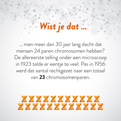 Wist je dat … men meer dan 30 jaar lang dacht dat mensen 24 paren chromosomen hebben? De allereerste telling onder een microscoop in 1923 telde er eentje te veel. Pas in 1956 werd dat aantal rechtgezet naar een totaal van 23 chromosomenparen.